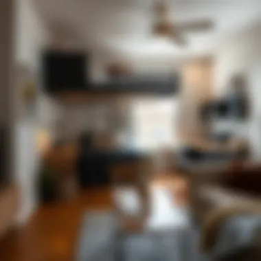 Loft bed slide enhancing small apartment space