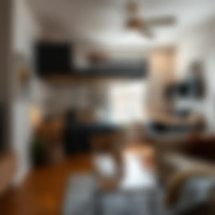 Loft bed slide enhancing small apartment space