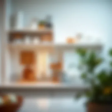 Functional White Shelves in Kitchen Stylish kitchen display featuring white shelves with towel bars holding kitchen essentials