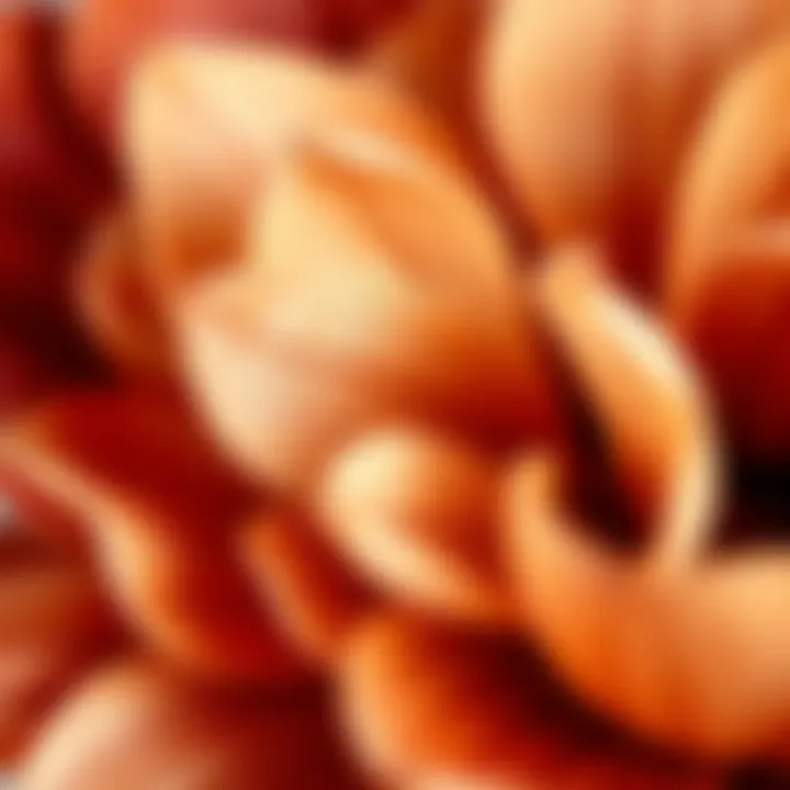 Close-up of intricately crafted wooden petals showcasing detail