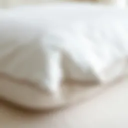 Close-up of hard foam pillow texture