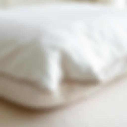 Detailed Texture of Hard Foam Pillows Close-up of hard foam pillow texture