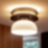 A beautifully designed ceiling light fixture showcasing modern aesthetics.