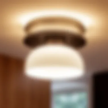 Modern Ceiling Light Fixture A beautifully designed ceiling light fixture showcasing modern aesthetics.