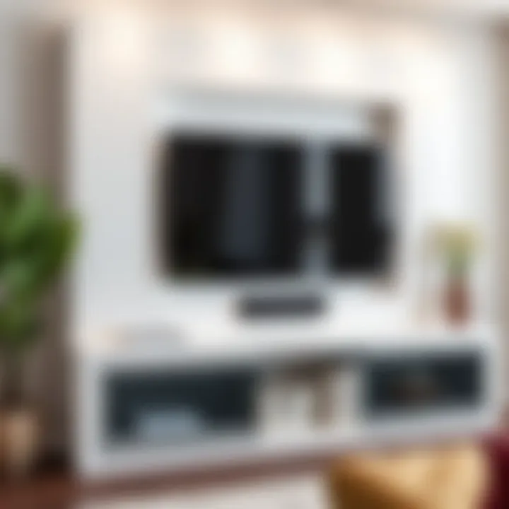 Functional Wall TV Unit with Custom Storage Functional wall TV unit with customizable storage solutions