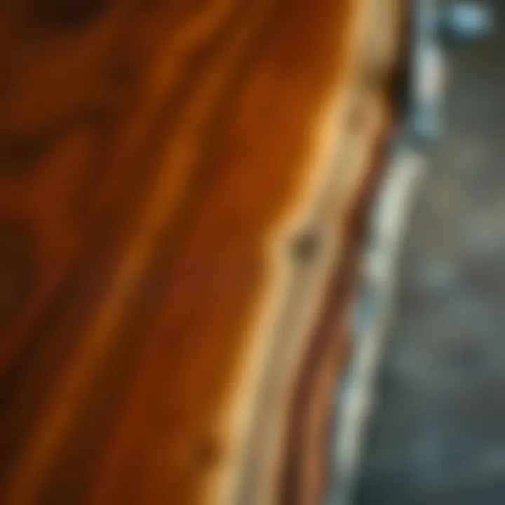 Unique Grain Patterns of Live Edge Wood Close-up of the unique grain patterns on a live edge counter