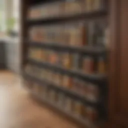 Elegant wire pull-out pantry shelf showcasing organized spices and jars
