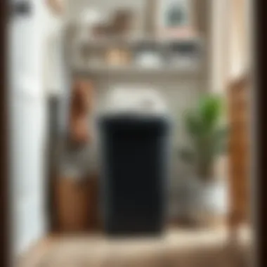 Organized room featuring a sleek black plastic hamper