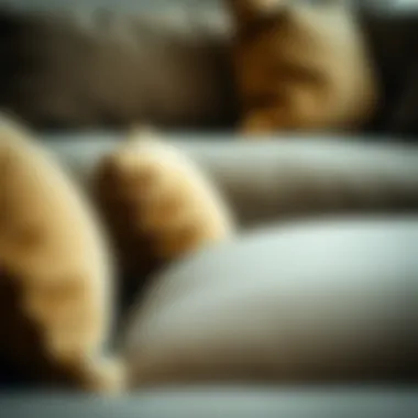 Material Elegance in Design Close-up of luxurious materials used in sofas and ottomans