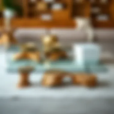 Variety of glass coffee tables with unique wood bases