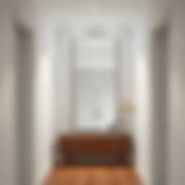 Modern Long Wall Mirror in Hallway Modern long wall mirror in a sophisticated hallway