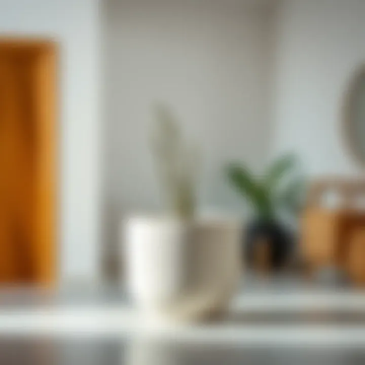 A minimalist ceramic blank planter showcasing its elegant shape