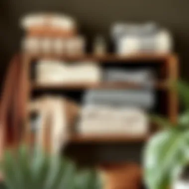Sustainable Throw Options in Interior Design Sustainable throw options displayed on a stylish shelf