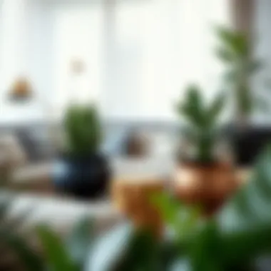 Sophisticated Living Room Planter Holders A sophisticated arrangement of large planter holders in a modern living room setting