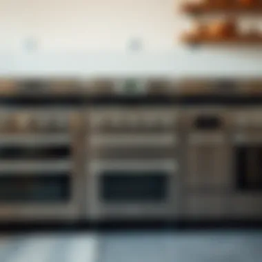 Comparison of Various Oven Types Different types of ovens displayed side by side for comparison