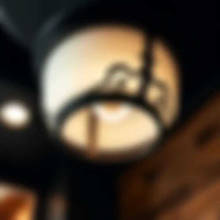 Close-Up of Intricate Design on Black and Wood Ceiling Light Close-up of a black and wood ceiling light showcasing its intricate design