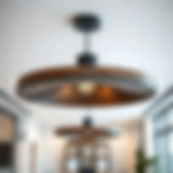 Versatile Black and Wood Ceiling Lights in Minimalist Office Space Versatile black and wood ceiling lights in a minimalist office space