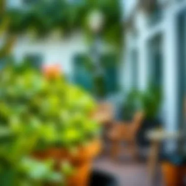 A detailed view of maintenance aspects for plastic greenery in landscape design