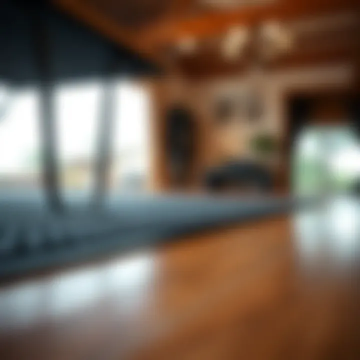 Protecting Your Floors with Style Close-up of a plastic mat protecting hardwood flooring
