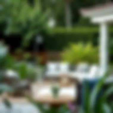 Elegant Outdoor Couch Arrangement in Garden Elegant outdoor couch arrangement in a garden setting