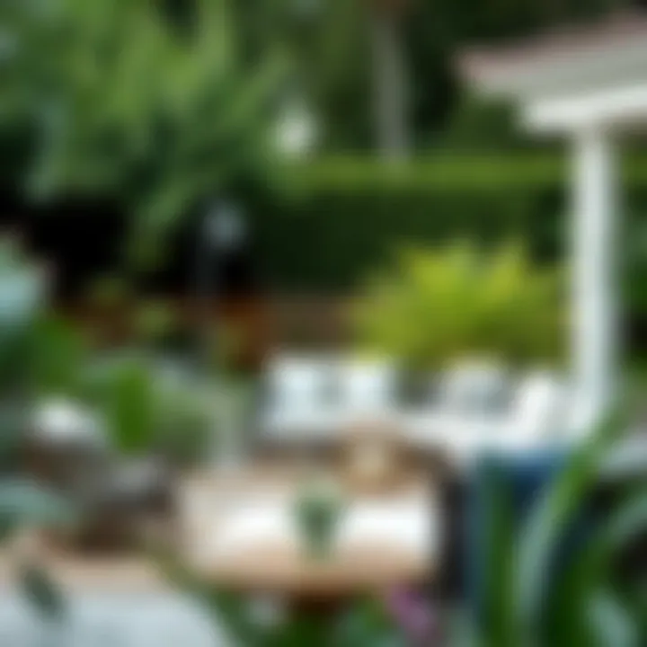 Elegant Outdoor Couch Arrangement in Garden Elegant outdoor couch arrangement in a garden setting