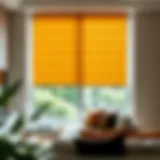 Luxurious Velvet Elegance Luxurious velvet window shade in a modern living room