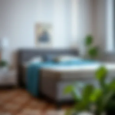 Box Spring Selection Considerations A checklist of considerations for selecting a box spring