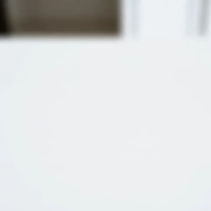 The Beauty of White Wood: Textural Details Close-up of white wood texture highlighting its unique grains