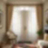 Elegant Sheer Curtains for Front Doors Elegant sheer curtains framing a front door